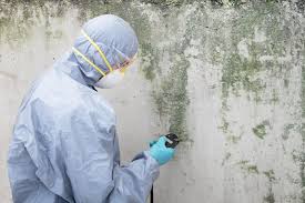 Best Comprehensive Air Testing for Mold Contaminants in USA